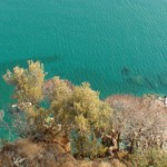 Cetraro – Capo Bonifati – Costa Tirrenica