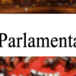 ilparlamentare3